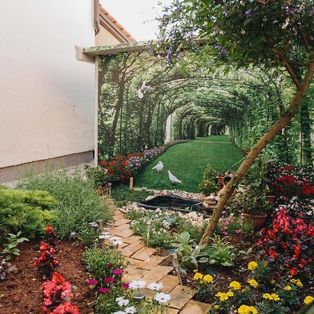Apartmani Marina بوريتش المظهر الخارجي الصورة
